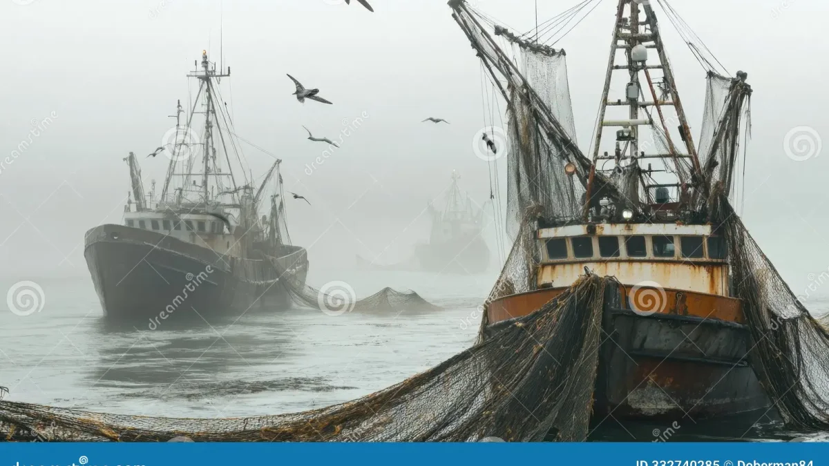 Sierra Leone Fishermen Accuse Chinese Trawlers of Illegal Fishing, Damaging Livelihoods