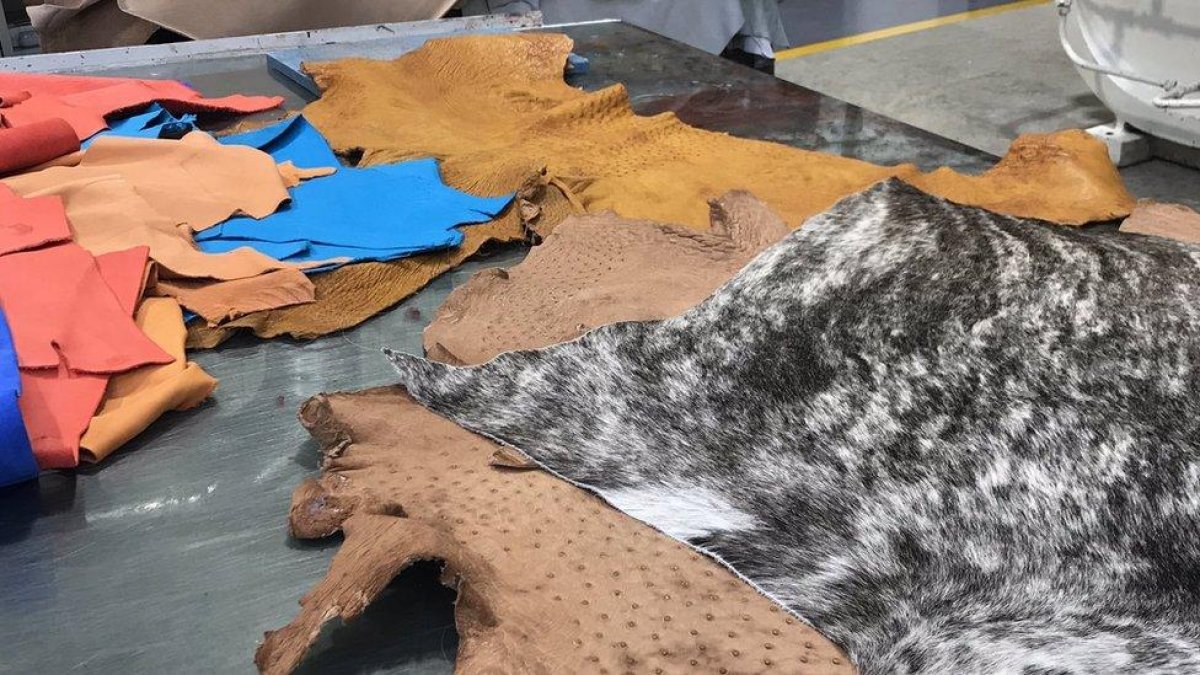 Nvidia CEO Jensen Huang's Signature Leather Jacket Fetches Over $1 Million at Auction