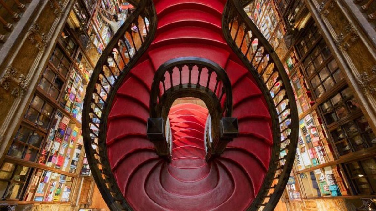 Dua Lipa Launches "Manifesto Library" in Porto to Combat Censorship